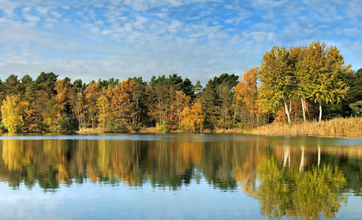 �1759120 �������(a): ����������:1920x1169